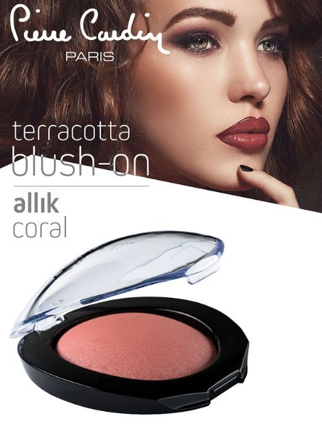 صورة Pierre Cardin Terracotta Blush On  225